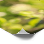 Poster Un robinet rond sur une branche (Coin)