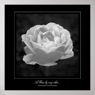 Poster Un Rose de n'importe quel autre..., style galerie 