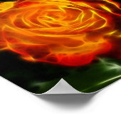 Poster Un Rose magnifique en feu (Coin)