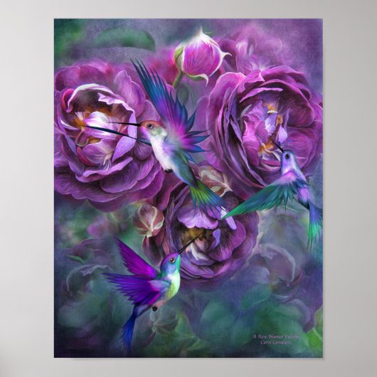 Poster Un Rose Nommé Violette Art Poster/Imprimer (Devant)