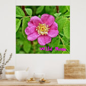 Poster Un Rose sauvage (Cuisine)