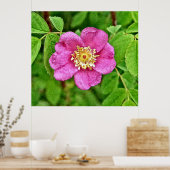 Poster Un Rose sauvage (Cuisine)