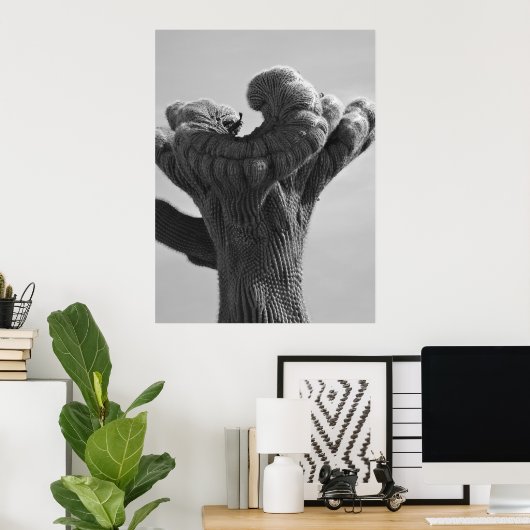 Poster Un Saguaro Cactus rare (Bureau à domicile)