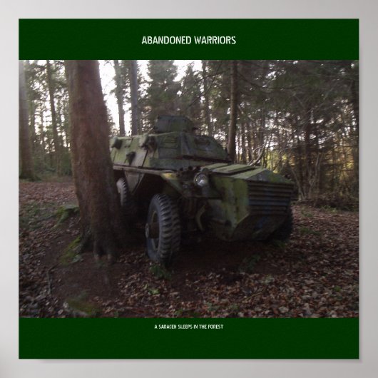 POSTER UN SARACEN DORT (Devant)