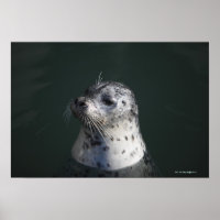 Un sceau portuaire