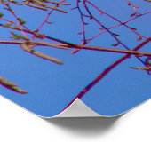 Poster Un secret au coucher du soleil (Coin)