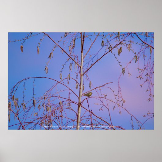 Poster Un secret au coucher du soleil (Devant)