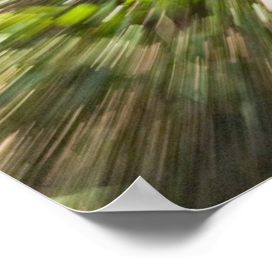 Poster Un sentier en bois à travers la forêt tropicale dé (Coin)