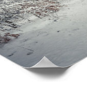 Poster Un sentier enneigé à travers une forêt d'hiver (Coin)