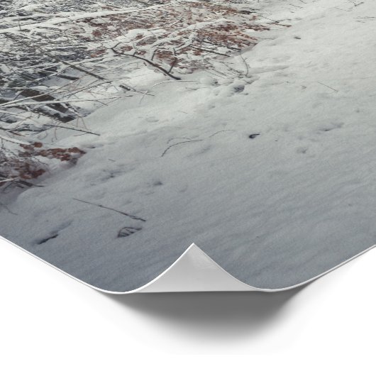 Poster Un sentier enneigé à travers une forêt d'hiver (Coin)