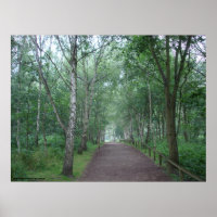 Un sentier forestier de Sherwood