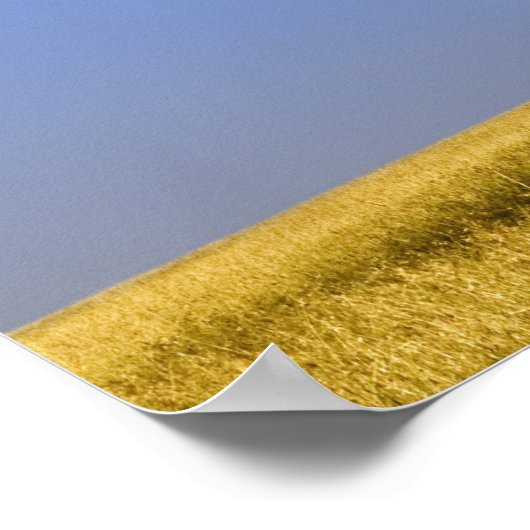 Poster Un seul acacia sur les plaines herbeuses, Masai Ma (Coin)