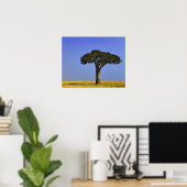 Poster Un seul acacia sur les plaines herbeuses, Masai Ma (Bureau à domicile)