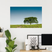 Poster Un seul arbre dans les plantations de thé (Bureau à domicile)