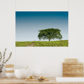 Poster Un seul arbre dans les plantations de thé (Cuisine)