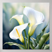 Poster Un seul calla élégant. (Devant)