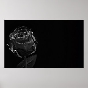 Poster Un seul Rose noir