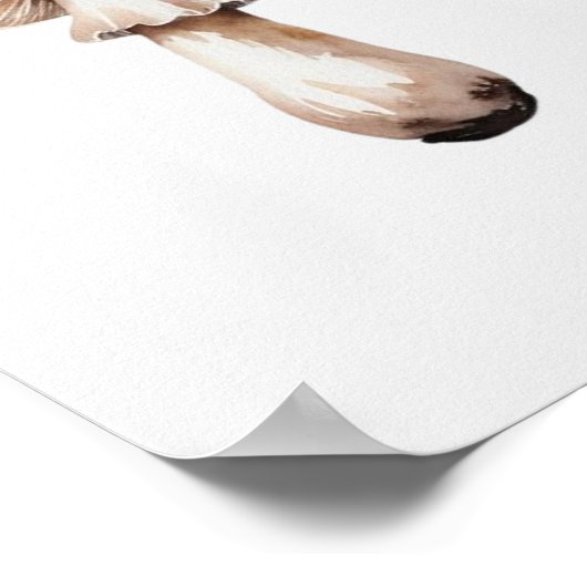 Poster Un simple champignon (Coin)