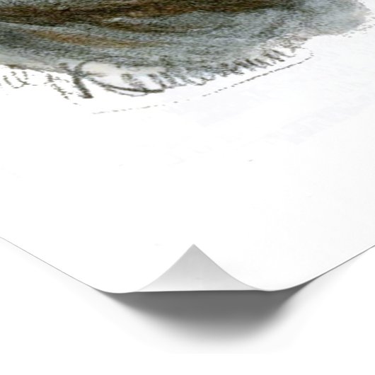 Poster Un singe Cheeky CC0365 pour enfants (Coin)