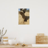 Poster Un soldat américain marche le long d'un chemin de  (Cuisine)