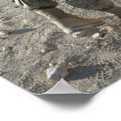 Poster Un soldat lance sa cible sur un coup de feu (Coin)