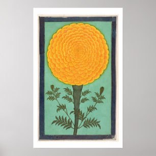 Poster Un souci, du petit album de Clive (la semaine sur