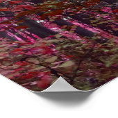 Poster Un souffle de rose (Coin)