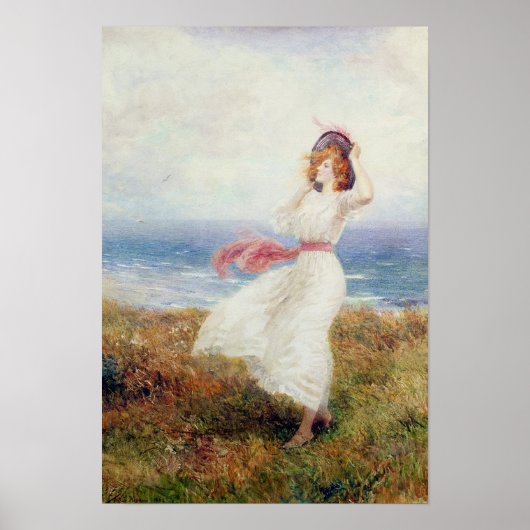 Poster Un souffle sur les falaises (Devant)