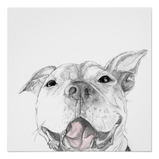 Poster Un sourire de Pit Bull (Devant)