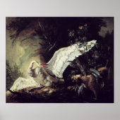 Poster Un Spaniel D'Eau (Devant)