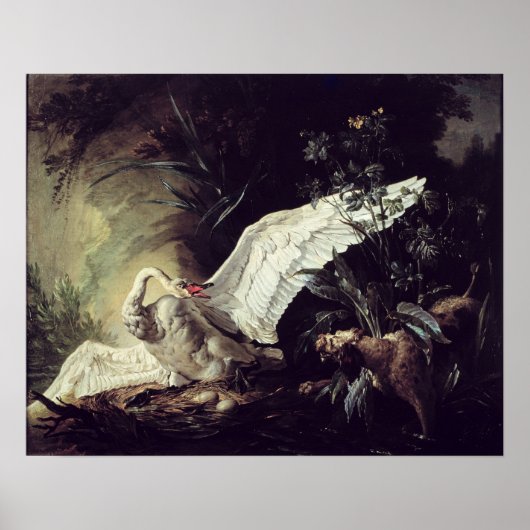 Poster Un Spaniel D'Eau (Devant)