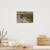 Poster Un spécialiste descend (Cuisine)