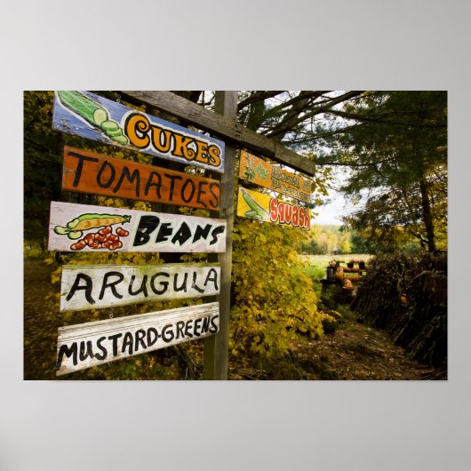 Poster Un stand de ferme à Holderness, New Hampshire. (Devant)