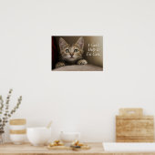 Poster Un Tabby Kitten Très Sucré (Cuisine)