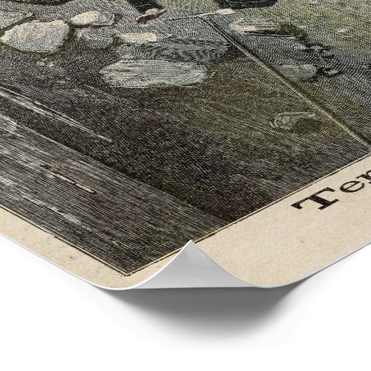 Poster Un terrible accident dans les Alpes (Coin)