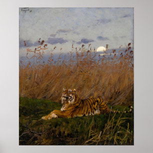 Poster Un Tigre Au Milieu Des Rousses Au Lune