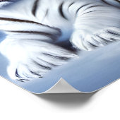 Poster Un tigre blanc assis dans la neige (Coin)