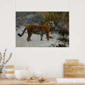 Poster Un tigre qui se propage dans la neige par Hugo Ung (Cuisine)