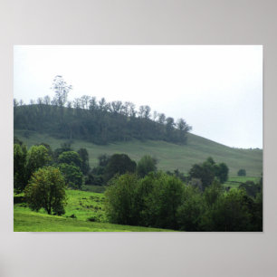 Poster Un timbre lumineux dans l'Upcountry