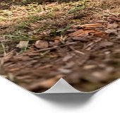 Poster Un Toit de chaume du Wiltshire 1892 (Coin)