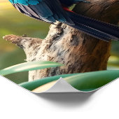 Poster Un toucan vibrant dans une jungle tropicale (Coin)