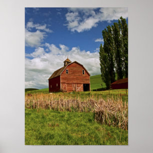 Poster Un tour à travers la campagne agricole de Palouse
