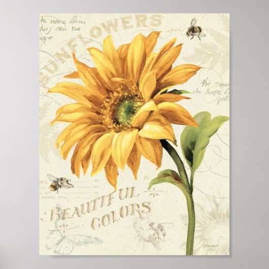 Poster Un tournesol en pleine floraison (Devant)
