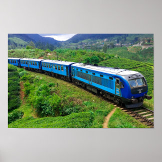 Poster Un train désalé