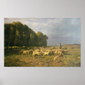 Poster Un troupeau de moutons dans un paysage (Devant)