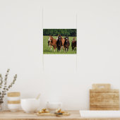 Poster Un troupeau de poneys gallois debout dans le champ (Cuisine)