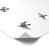 Poster Un troupeau d'oiseaux vole vers le ciel (Coin)