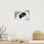 Poster Un véhicule d'assaut amphibie 2 (Cuisine)