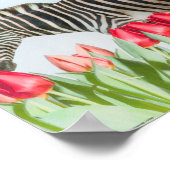 Poster Un zèbre parmi les tulipes (Coin)