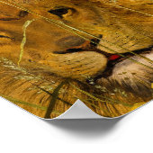 Poster Una and the Lion, 1860 by William Bell Scott (Coin)